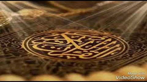 سورة المسد 🍃 محمد صديق المنشاوي 🍃