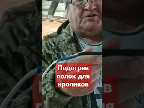 Как напоить кроликов