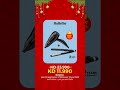 LuLu’s Year-End Mega Deal electronics | عرض لولو الضخم لنهاية العام الإلكترونيات