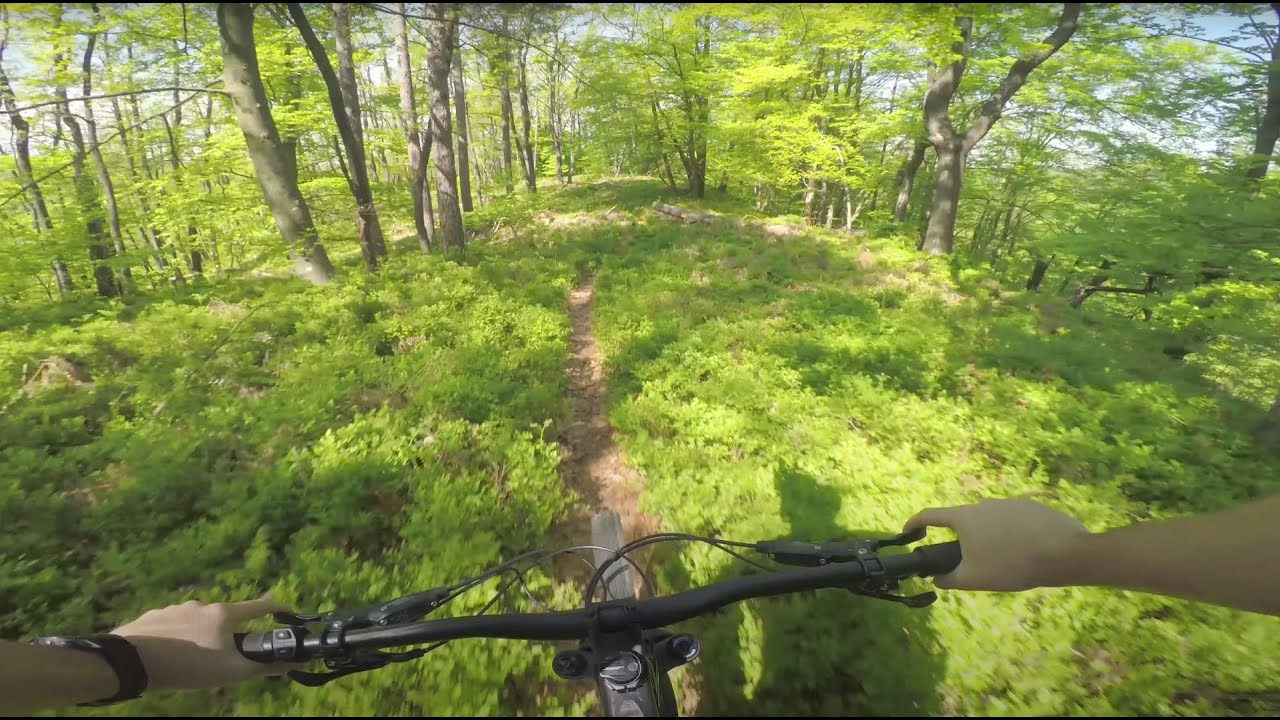 MTB Ljubljana | Javor trails // May 2021