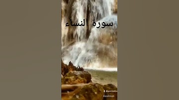 #سورة-النساء#الشيخ-ممدوح عبداللاه الهاشمي #004 #زيادة_الارباح #اكسبلور #الصلاه #القران #صباح_الخير #