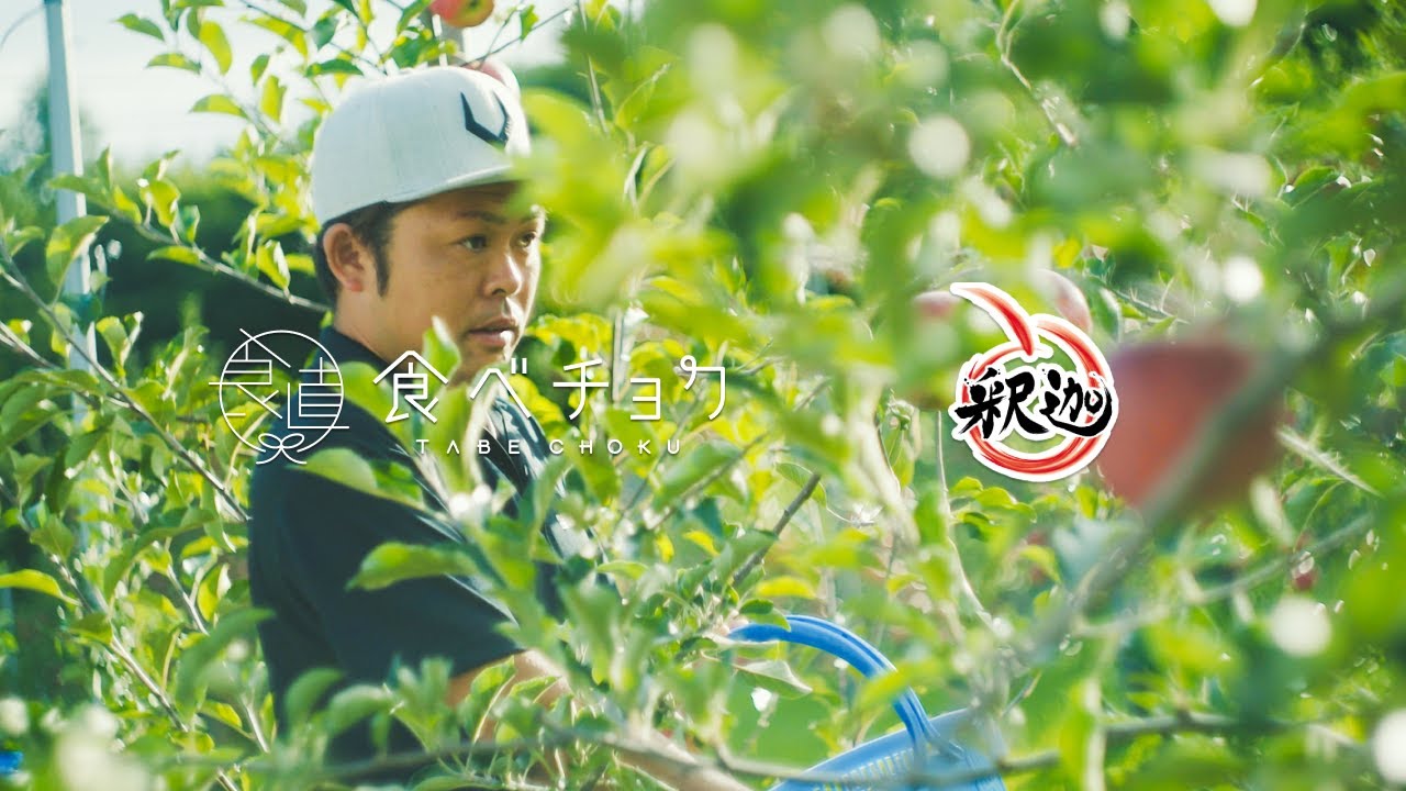 釈迦 の りんご 園