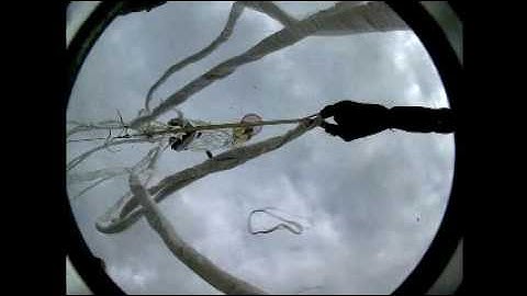 Anatomy of a Parachute