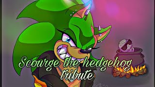 scourge the hedgehog tribute