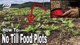 Ultimate No Till Food Plot Planting Recipe