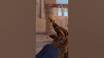 M4A1 ACE on Anubis