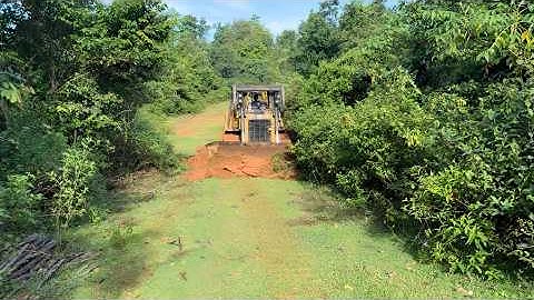 Quickly and Precisely Opening a Forest Road - The Action of the CAT D6R XL Bulldozer Operator!