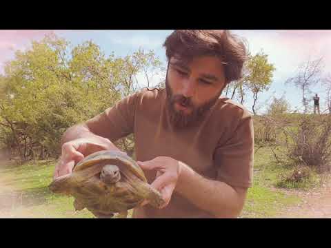 Grup Roj-Duydumki Bensiz
