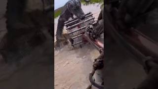 gator fights decepticon - who won