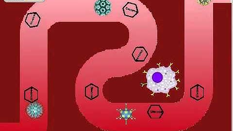 CS 10 Midterm Project: Marissa Chou and Brian Tian