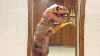 FHS Summer Fun Video 2017