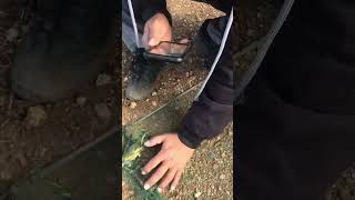 Florya Saka Göç Kuşları (Alıntı)