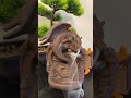 How to use a dragon backflow incense burner  try haul shorts unboxing