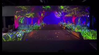 BESPOKE 3D Mapping Projections 2