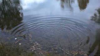 CIMG8394.AVI