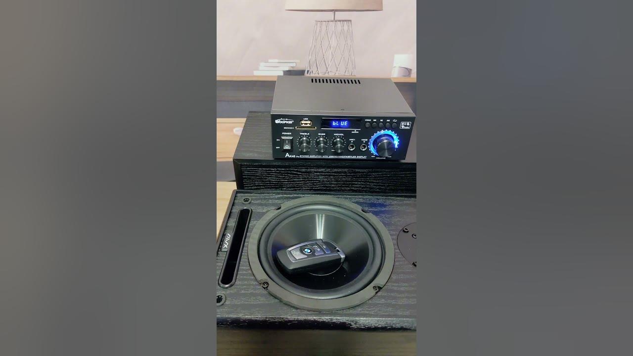 SPEAKER VS CAR KEYS - Bass Test✨ #hifi #amplifier #woopker #ak45pro #shorts #woofer #trend #dj