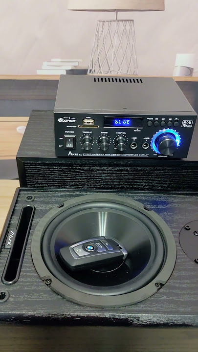 SPEAKER VS CAR KEYS - Bass Test✨ #hifi #amplifier #woopker #ak45pro #shorts #woofer #trend #dj