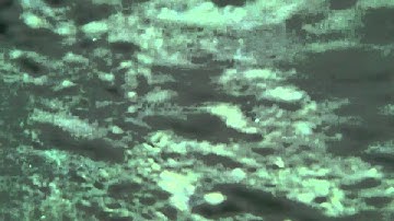 Ecological Mechanics BIOHOPK 150H