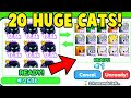 I trade 250 Billion Gems for FULL HUGE CAT TEAM in Pet Simulator X!