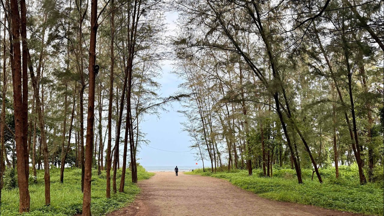 Goa in 2 days | ഗോവയിൽ 2 ദിവസം |Panaji| Candolim | Colva Beach|