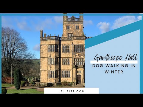 Gawthorpe Hall - Dog Walking in Winter