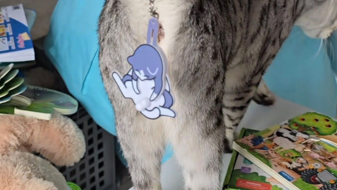 Kleine Klöten für die Katzen 