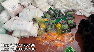 ♨️🆘. Xốp bọc ổi 4 mùa túi vải ko dệt may thủ công chống nắng chống ruồi vàng 