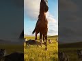 Horse VS Wolves: Epic Showdown in the Mountains! 2512031529 🐺🐴🏔️💥 #Horse #Wolf #animals #horse