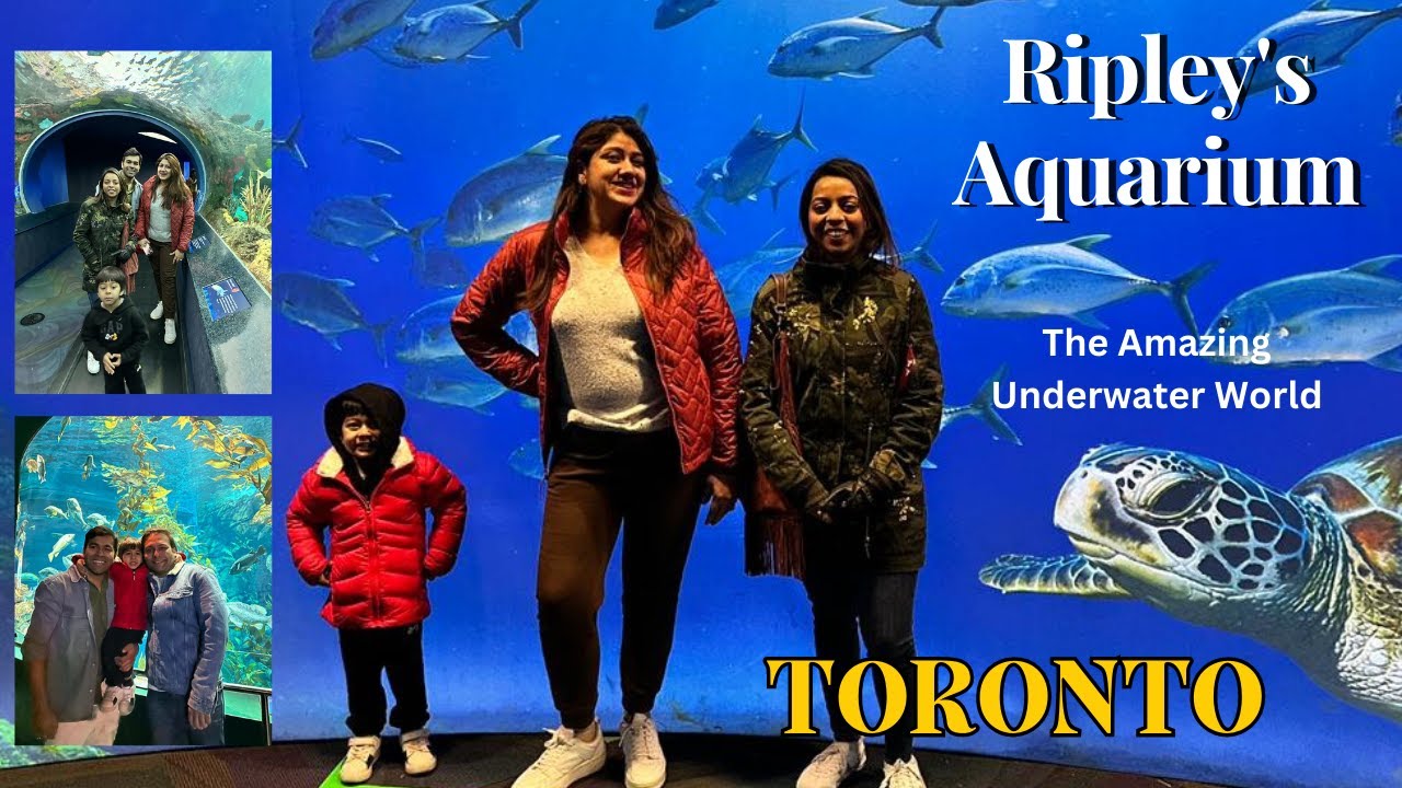 CN Tower & Ripley's Aquarium TORONTO amazing underwater world 