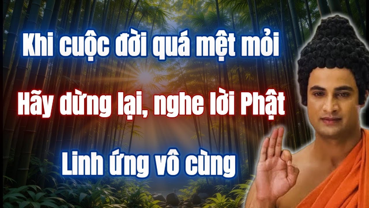Đức Phật đang biết bạn rất mệt mỏi, hãy dừng lại và nghe lời dạy này, linh ứng vô cùng!