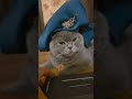 Будь, ты не знаешь, зависть злобу порождает🤣🤣🤣🤣🤣🤣