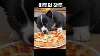 강아지 이루의 하루 #강아지