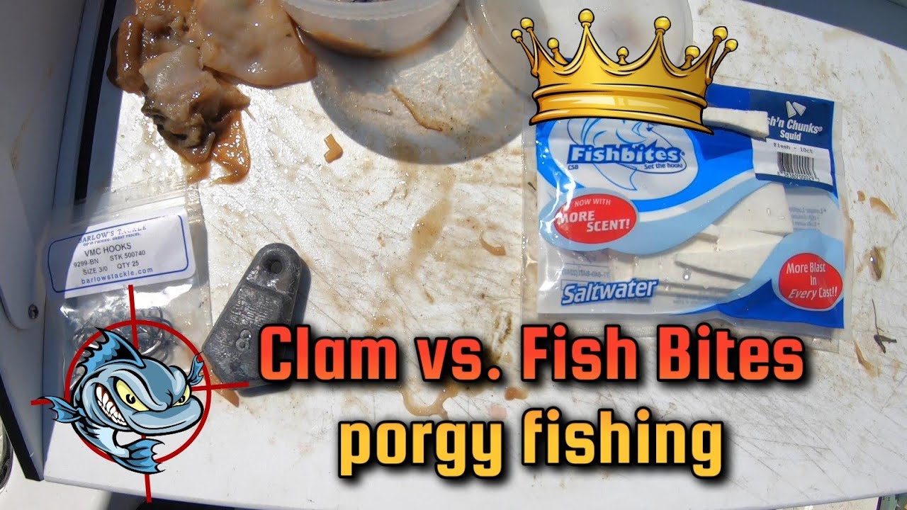 Testing Clam vs. FishBites Fish'n Chunks for Porgy fishing 