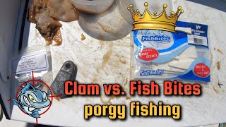 Testing Clam vs. FishBites Fish'n Chunks for Porgy fishing