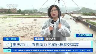 [第一时间]重庆巫山：农机助力 机械化插秧效率高| 财经风云