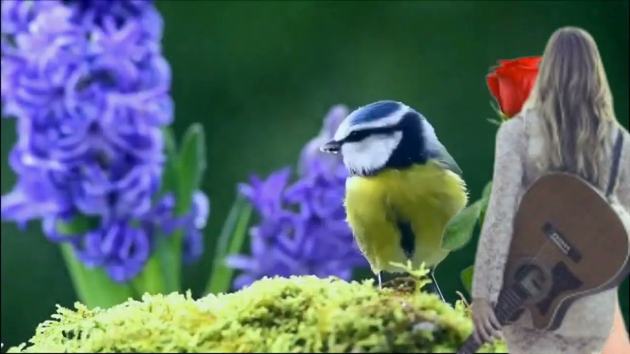 BIJË E VOGËL E NËNESË