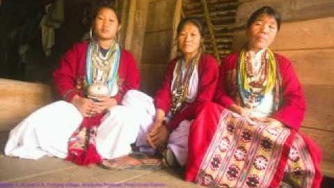 Endangered and Emerging Languages