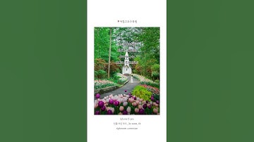 스마트폰 여행사진 구도 꿀팁 #사진잘찍는법 #사진꿀팁 #사진작가 #사진찍기 #스마트폰사진 #스마트폰카메라 #스마트폰꿀팁 #갤럭시 #폰카 #아이폰 #여행사진 #아침고요수목원