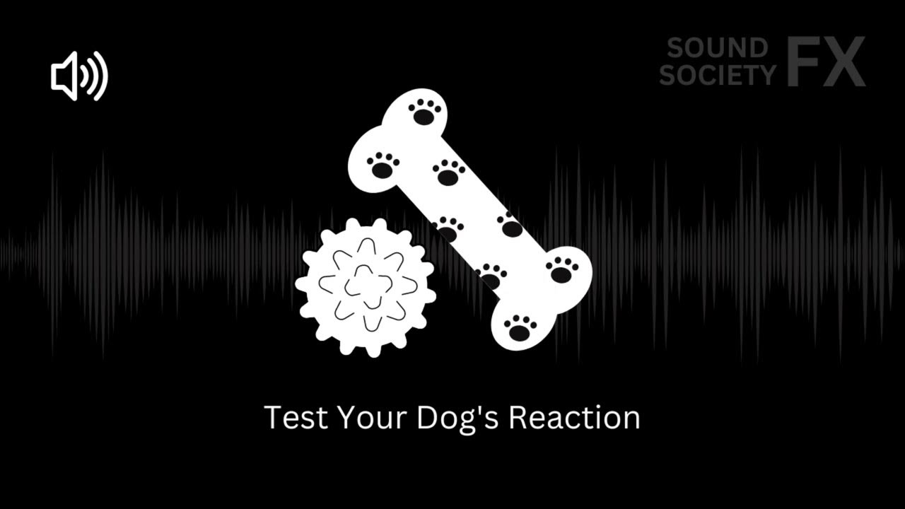 Free Dog Squeaky Toy Sound Effects HD Squeaker Toys Noise SFX YouTube
