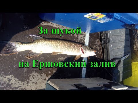 За щукой на Ершовский залив. Иркутское водохранилище