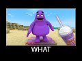 Minecraft wait what meme part 270 realistic minecraft Grimace Shake