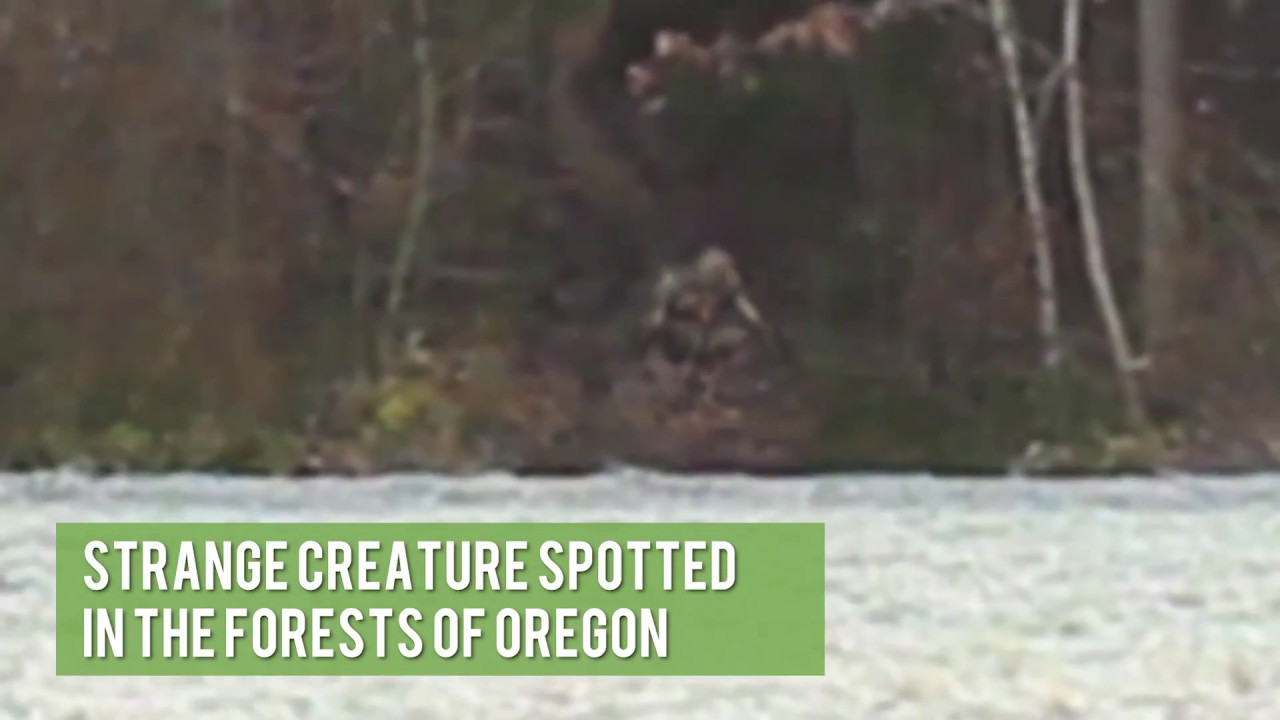 Rumble App Promo 2 Trending News, Viral Videos & TV YouTube