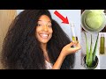 How To Properly Make Aloe vera Oil For Extreme Hair Growth !