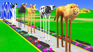Long Slide Game with Dinosaur Lion Cow Hippopotamus Gorilla 3d Animal Game Funny 3d Animals