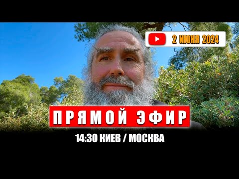 Видео: Прямой эфир 2 июня 2024 | 14:30 МСК/Киев | Монах Андроник | Афон