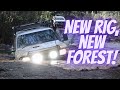 Welcome to Toolangi! | Toolangi State Forest 4x4