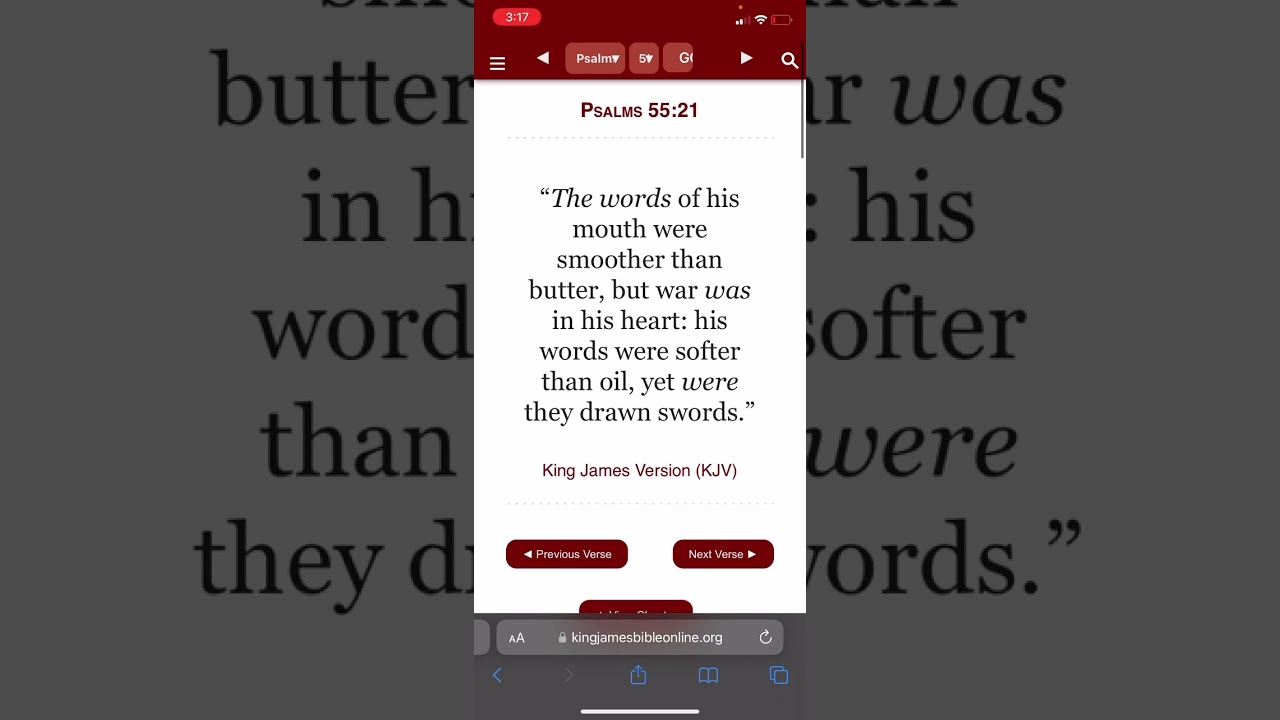CHECK POINT SYSTEMS FOR C-HIP
