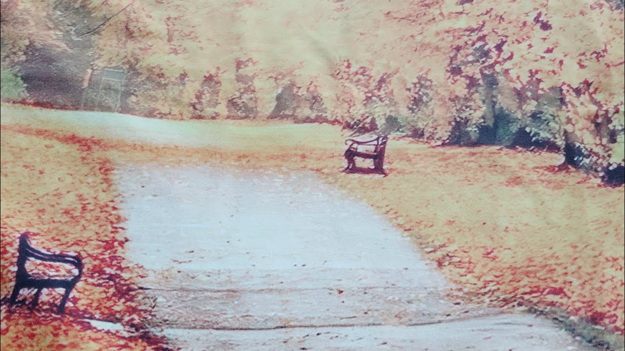 COLLECTIVE DAILY MESSAGE TAKE TIME TO REST & RELAX 'STARFISH ENERGY' 