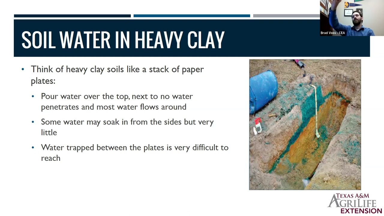 NTMWD Lunch and Learn: Love Your Soil Feb 8 2023