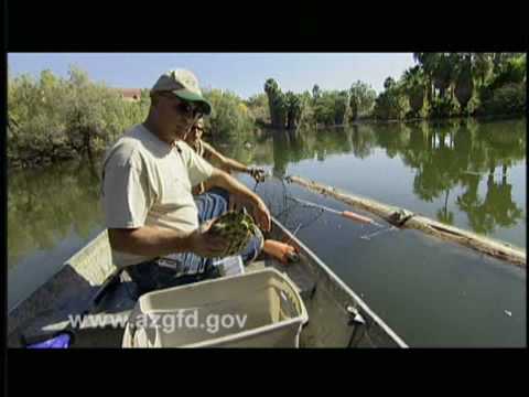 Arizona Wildlife Views 2008 Episode 7